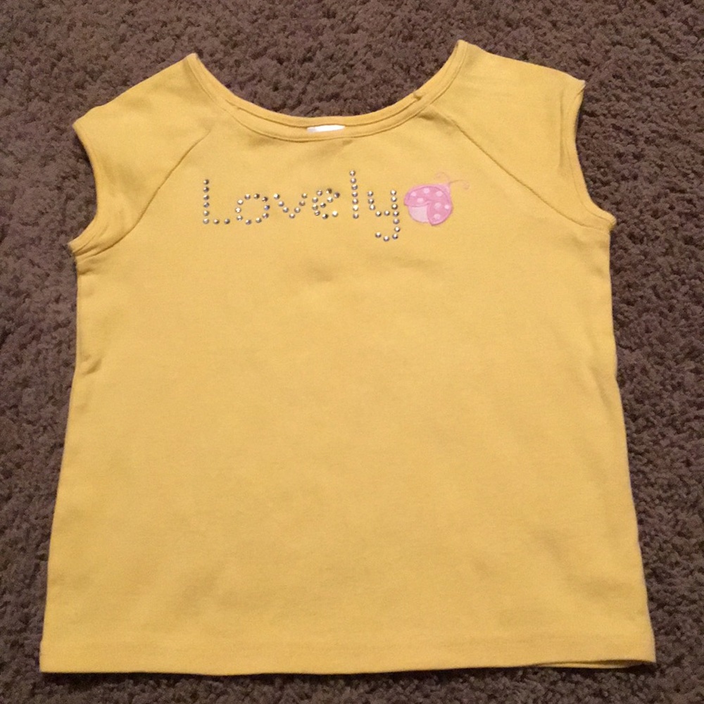 Vintage Gymboree Sunflower Fields ladybug top Sz 5